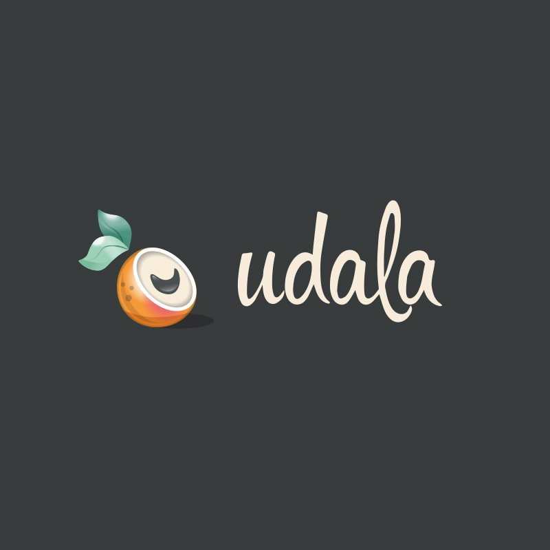 UDA_logo-Udala
